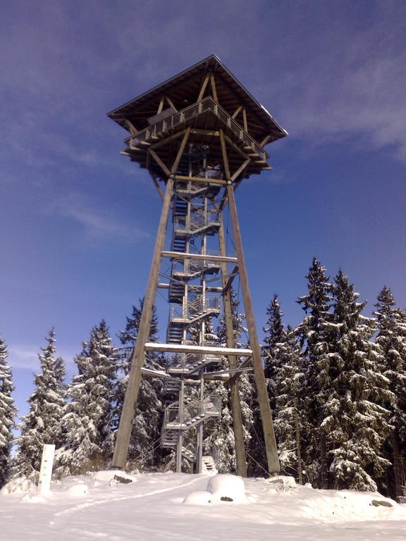 Отель Hochschwarzwald-Hof Шлухзее Экстерьер фото