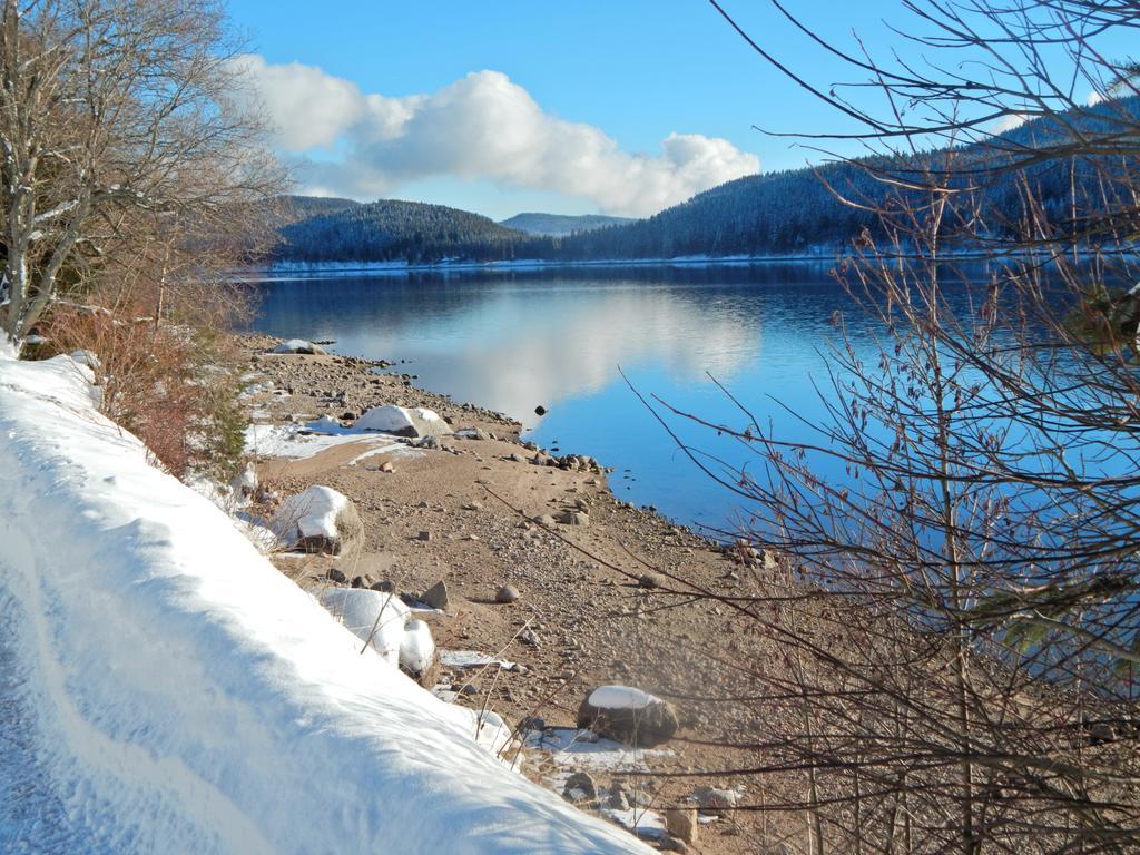 Отель Hochschwarzwald-Hof Шлухзее Экстерьер фото